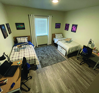 Housing Graphic